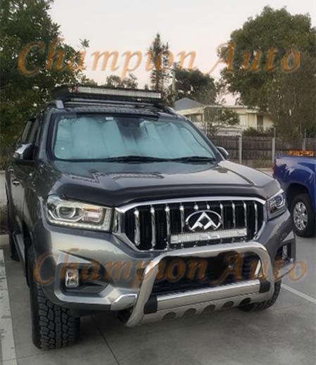 3" Stainless Steel Nudge Bar LDV T60 PRO,LUXE 2017-2022