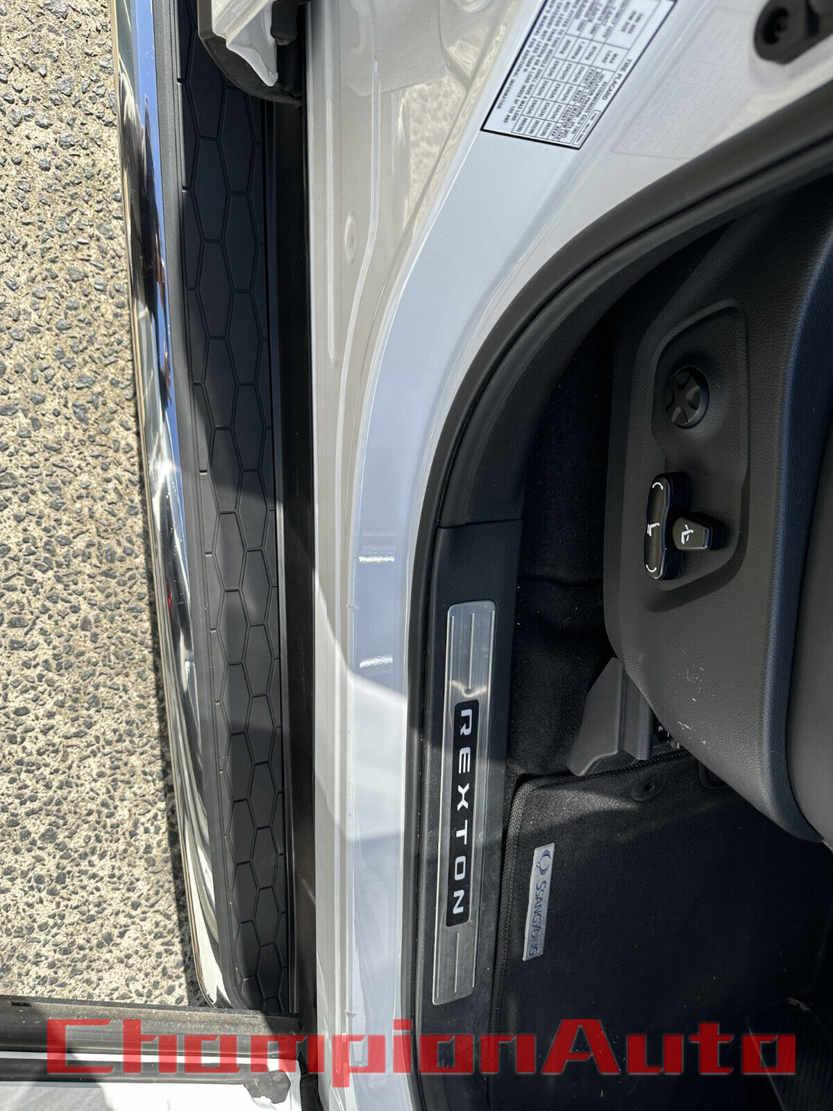 Side Steps Running Boards for SsangYong Rexton 2019-2024 All Models (HD)