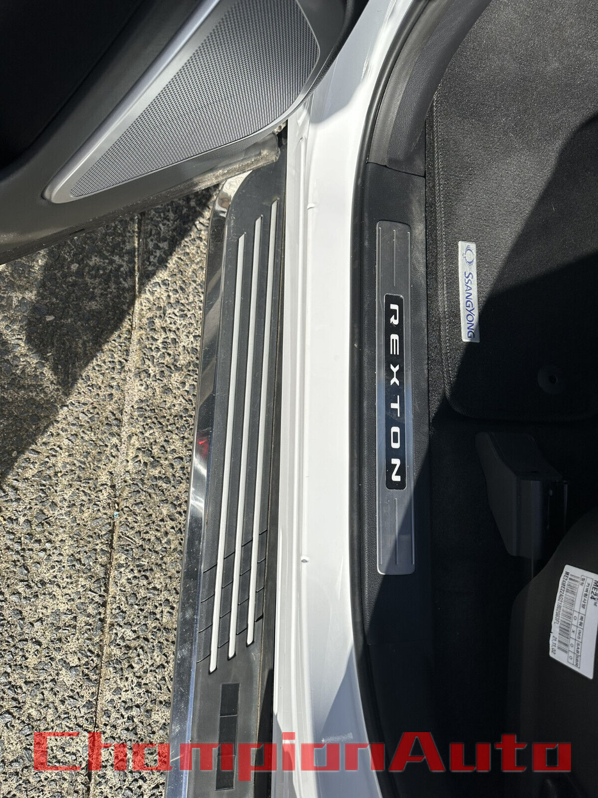 Side Steps Running Boards for SsangYong Rexton 2019-2024 All Models (C ...